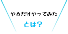 「やるだけやってみた」とは？