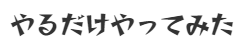 やるだけやってみた
